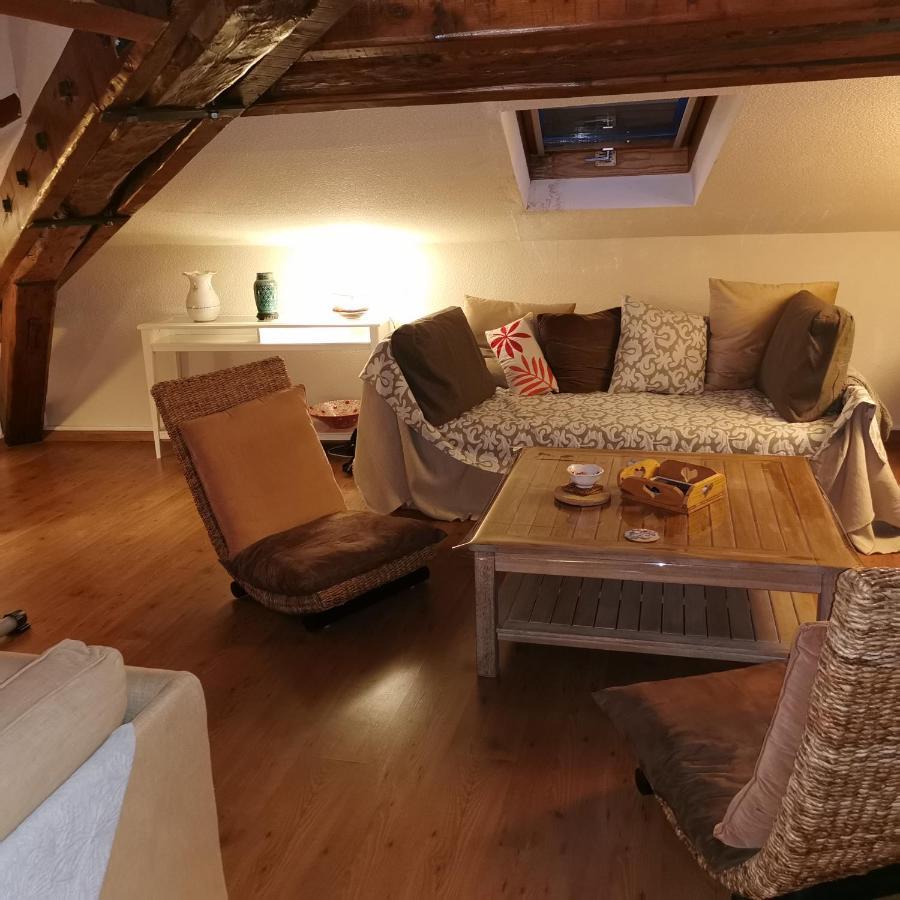 Cosy And Calm In Grenoble City Heart With Free And Large Parking Q-Park Chavant Exteriér fotografie